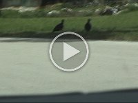 Untitled Clip 01 22